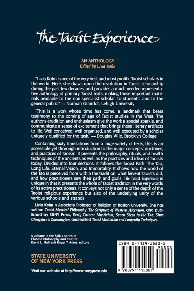 人文 Tetsugaku Companion to Phenomenology Tetsugaku Companion to Feeling | SpringerLink